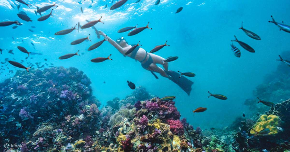 Join In Boat Tour in Koh Lipe Klook
